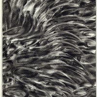 5 pastel noir sur papier  22cmx15cm 2007